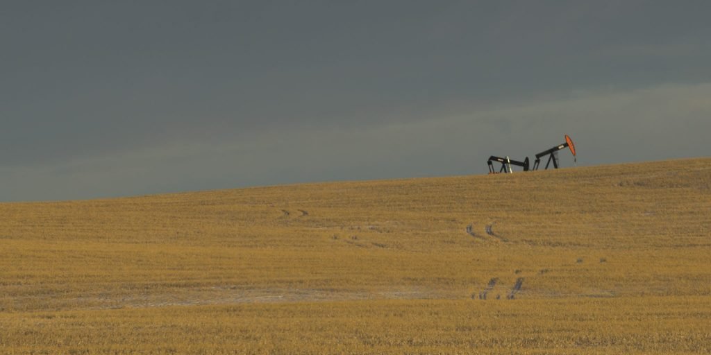 The Steps for Land Reclamation and Remediation