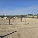 Driven Piles vs Screw Piles: Which is Right for Your Foundation? 